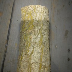Natural Log Reptile Hide Cave House 7″-8″ Long 3″-4″ Wide 3″ Tall