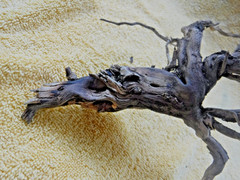 NATURAL SPIDER LIKE ROOT WOOD REPTILE TERRARIUM DECORATION ART GARDEN PET FLORAL