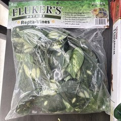 Lot of Terrarium Liner and Decor