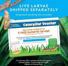 National Geographic Butterfly Growing Kit – Kids STEM Activity