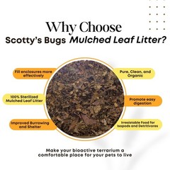 SCOTTY’S BUGS Mulched Leaf Litter for Reptiles, Isopods Live & 12oz, Brown