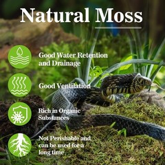 Sphagnum Moss for Reptiles -Terrarium Moss for Reptiles Peat Moss (15.8, Ounces)