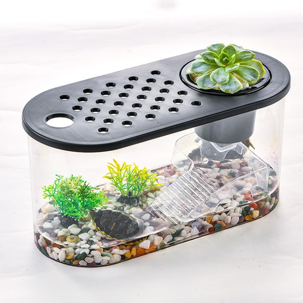 Small Turtle Tank Kit, Reptile Aquarium with Basking Platform, Decor Stones &…