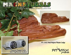 MagNatural Medium Planter Ledge Mojave – Pet-Tekk