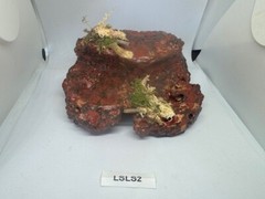 Magnetic Rock Ledges For Terrariums And Cages (Limited Edition) Small LAVA
