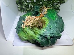 Multi use Magnetic Hides For Terrariums And Cages