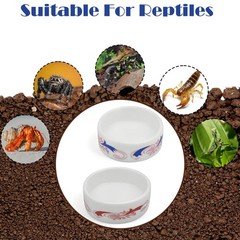 4 Pack Colorful Ceramic Water Bowls, Mini Reptile Food Dishes for Hermit Crab…