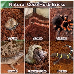 2 Pack Coconut Fiber Substrate, Natural Coco Coir Bedding for Reptiles Turtle…