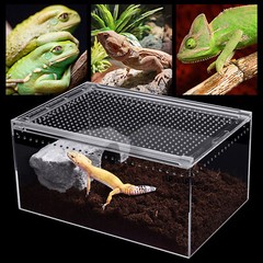 Magnetic Acrylic Large Enclosure 2.5 Gallon 12 X 8 X 6 Inch Reptile Breeding Box