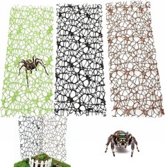 Jumping Spider Enclosure Accessories Climbing Mesh Magnets Reptile Terrarium