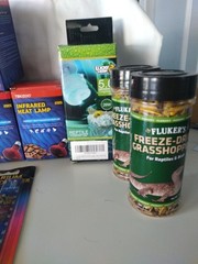 Reptile Lizard Terrarium Supplies