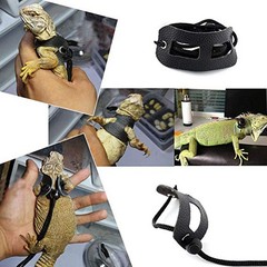 3Pcs Reptile Lizard Harness Durable Black Pet Leashes for Small Pets