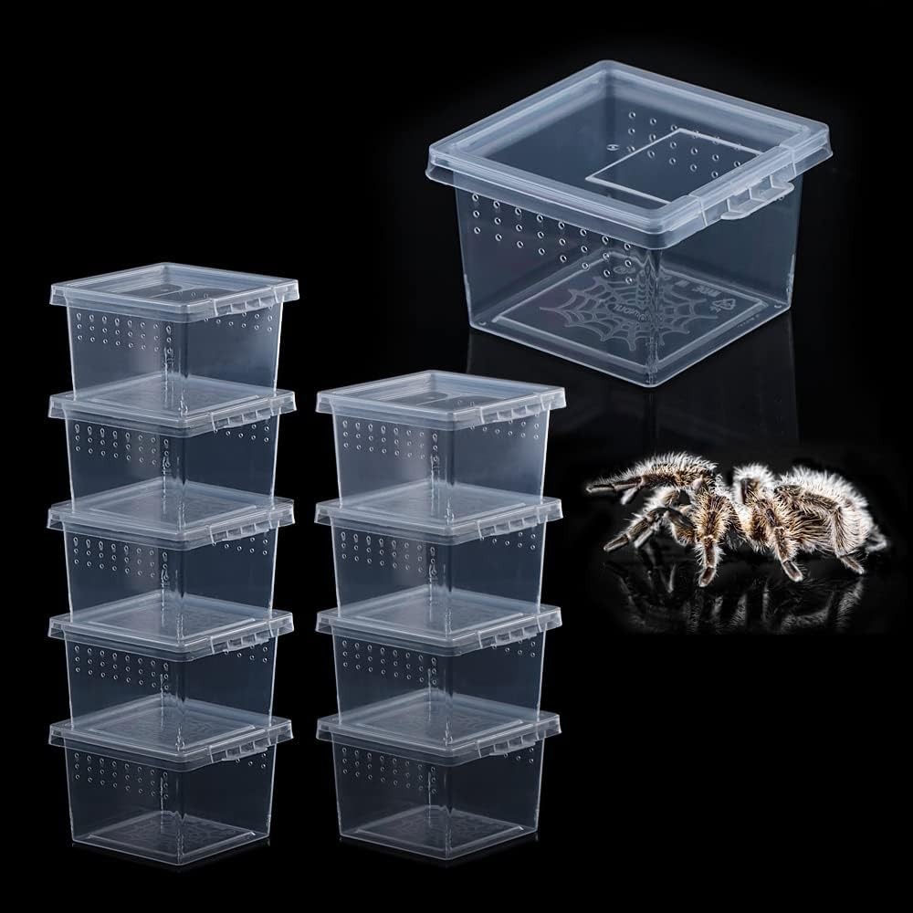 10 Pcs Insect Spider Terrariums Breeding Box Hatching Container Small Reptile…