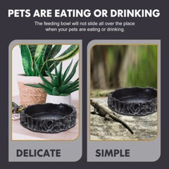 Reptile Bowl Wear-resistant Water Dish Decorative Water Bowl Reptile Accessory