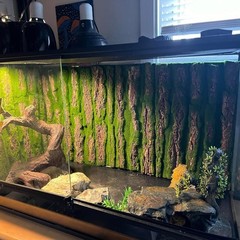 PINVNBY Cork Terrarium Background,Reptile Bark Backdrop Wall Decor and Artifi…