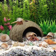 Hermit Crab Shells – Natural Coconut Shell Hut with Artificial Plants, Seashe…