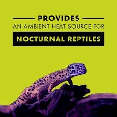 Zilla Night Black Incandescent Bulb 150 Watts For Reptiles Ambient Heat Light