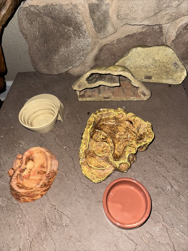 Reptile Waters Feeders Magnetic Hide Rock