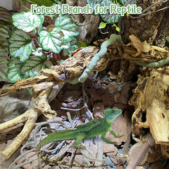 Reptile Branch Decor 2 Pcs Snake Climbing Wood Branches Lizard Habitat Decoratio