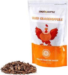 Luckyqworms Freeze Dried Grasshoppers – High Protein Reptile & Bird Food, 1Lb Re