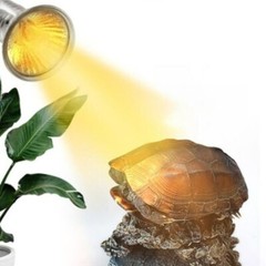 25W 50W 75W UVA Pet Heat Lamp Sun Reptile Turtle Snake Lizard Heater light Bulb