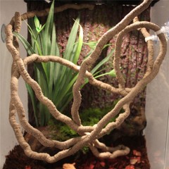 Terrarium Reptile Flexible Jungle Vines Flexible Bendable Decoration Accessories