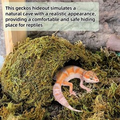 Green Coconut Leopard Gecko Hide Reptile Cave Tank Accessory