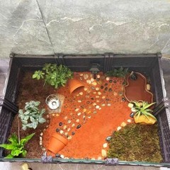 Extra Large Reptile Bathing Pool Reptile Feeding Dish Water Bowl with Ramp Aq…