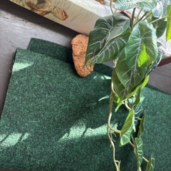 Lot of Terrarium Liner and Decor