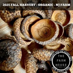100+ ACORN CAPS (1/4 LB) -2X STERILIZED -FOR ISOPODS, TERRARIUM -ORGANIC NJ FARM