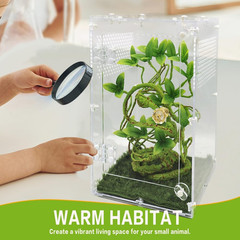 Large Jumping Spider Enclosure Tarantula Front Opening Door Reptile Suitable