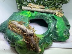 Multi use Magnetic Hides For Terrariums And Cages