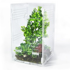 Jumping Spider Enclosure 6x6x10 Inch Transparent Arboreal Tarantula Habitat