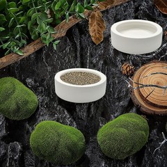 3 Pcs Reptile Food Bowl, Ceramic Water Feeder Bowl for Lizard 2.7 inch, White