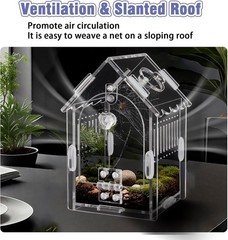 Jumping Spider Enclosure Kit Acrylic Terrarium for Tarantulas, Reptiles & Pra…