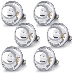 250W Heat Lamp Bulbs for Bathroom, Reptiles – Pack of 6