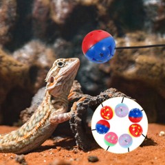 7 Pcs Bearded Dragon Tank Accessories Lizard Toy Ball Chinchilla Toys Reptile