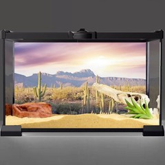 AWERT Reptile Habitat Background Blue Sky Oasis Mountain Cactus Sun and Deser…
