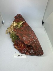 Magnetic Rock Ledges For Terrariums And Cages (Limited Edition) Medium LAVA