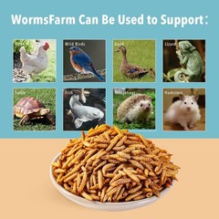 11LB Dried Black Soldier Fly Larvae,Chicken Feed More 11 Pound (Pack of 1)