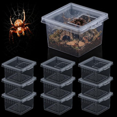 10 Pcs Insect Spider Terrariums Breeding Box Hatching Container Small Reptile