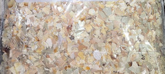 3 lbs Organic Crushed Egg Shells Hermit Crab Reptiles Soil Calcium Supplement 3#