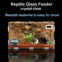 6 Pcs Glass Reptile Feeding Bowl Food Basin Tray Container Water Dish Cup for…