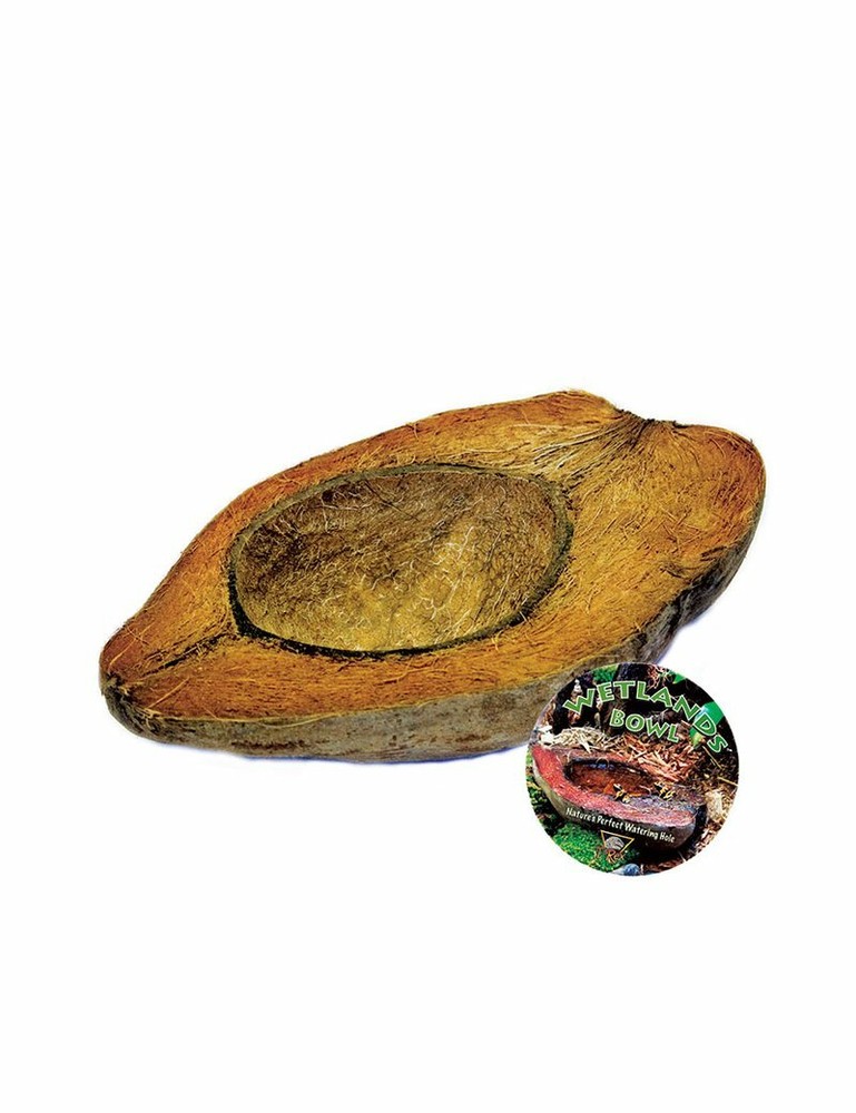T-Rex ReptileTerrarium Décor – Wetlands Bowl
