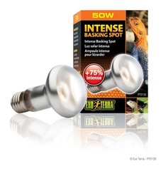 EXO TERRA INTENSE BASKING SPOT – 50 WATT – PT-2135