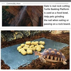 Reptile Basking Platform Tortoise Feeding Dish Natural Rock Reptile Food Bowl La
