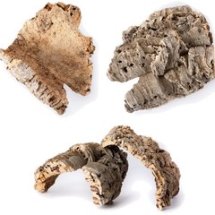 Galápagos (05501) Natural Cork Bark for Reptiles – Ideal for Bearded Dragons,…