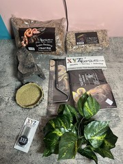 Boa Constrictor Snake Habitat 10 Gallon Terrarium Snake Starter Kit XYZReptiles