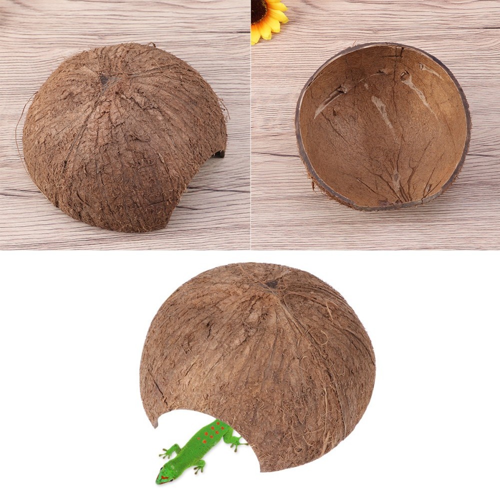 Lizard Hut Hanging Coconut Reptile House Hideout for Reptiles