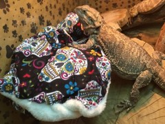 SPANISH SKULLS DESIGN LRG RESTING BED COVER ONLY NO FRAME BED 4 BEARDED DRAGONS